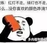 alb2cvr5e