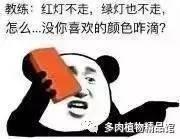 巨龙国际平台登录-友情推荐：分分28开奖
