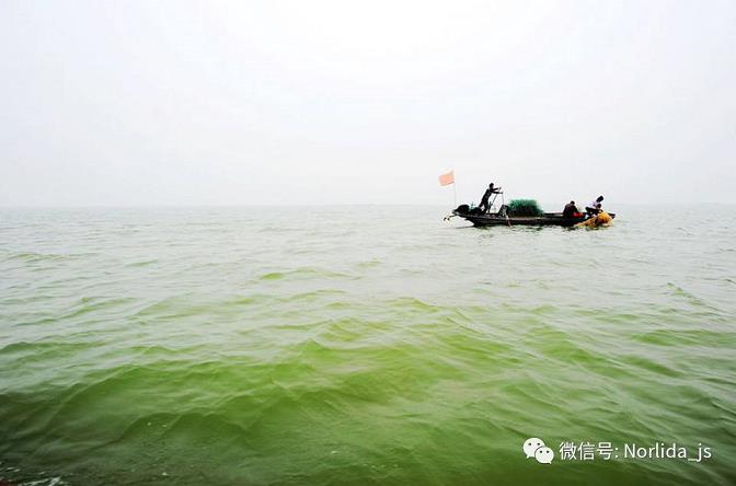 云顶赌场online