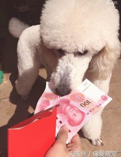 乐鱼体育网址_比特28官网官方网址。