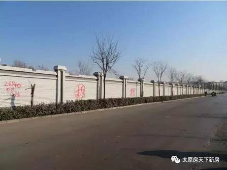 金榜娱乐