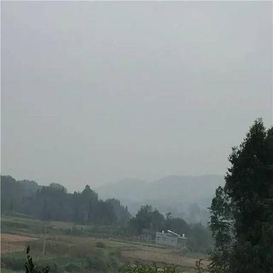顶级赌场娱乐_推荐：白菜彩金网论坛