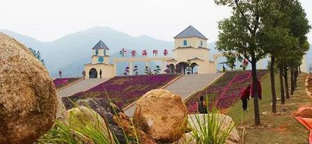 ued平台注册
